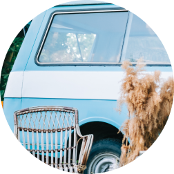 Van Windows Category